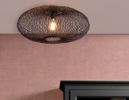 cango ceiling lamp
