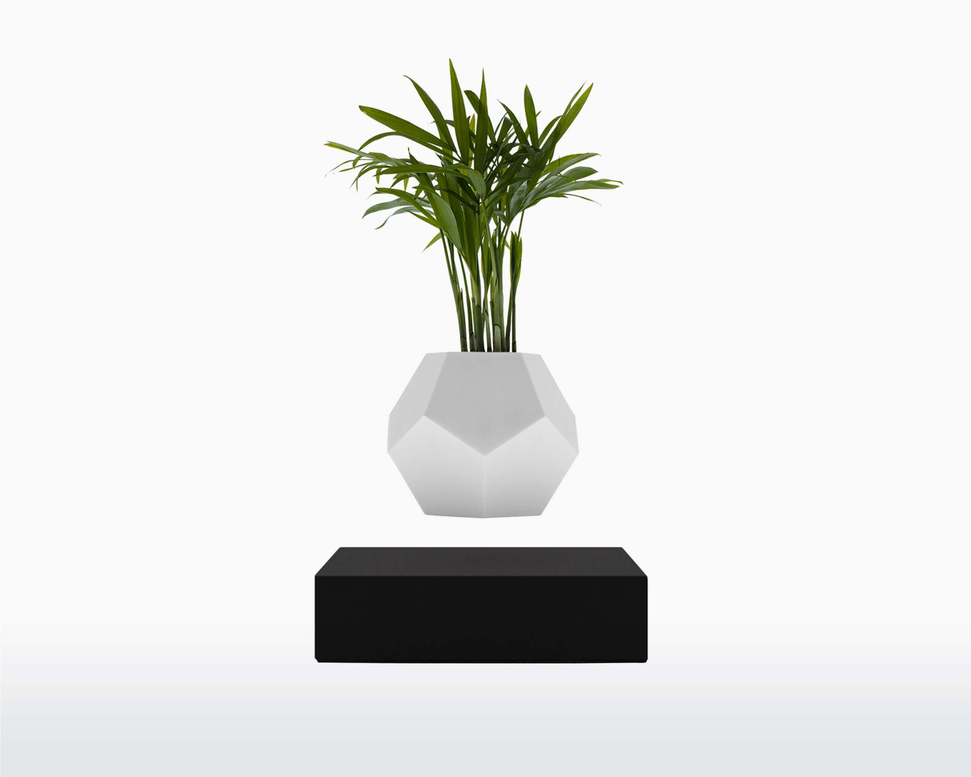 lyfe flyte levitating plant black base scaled 1.jpg