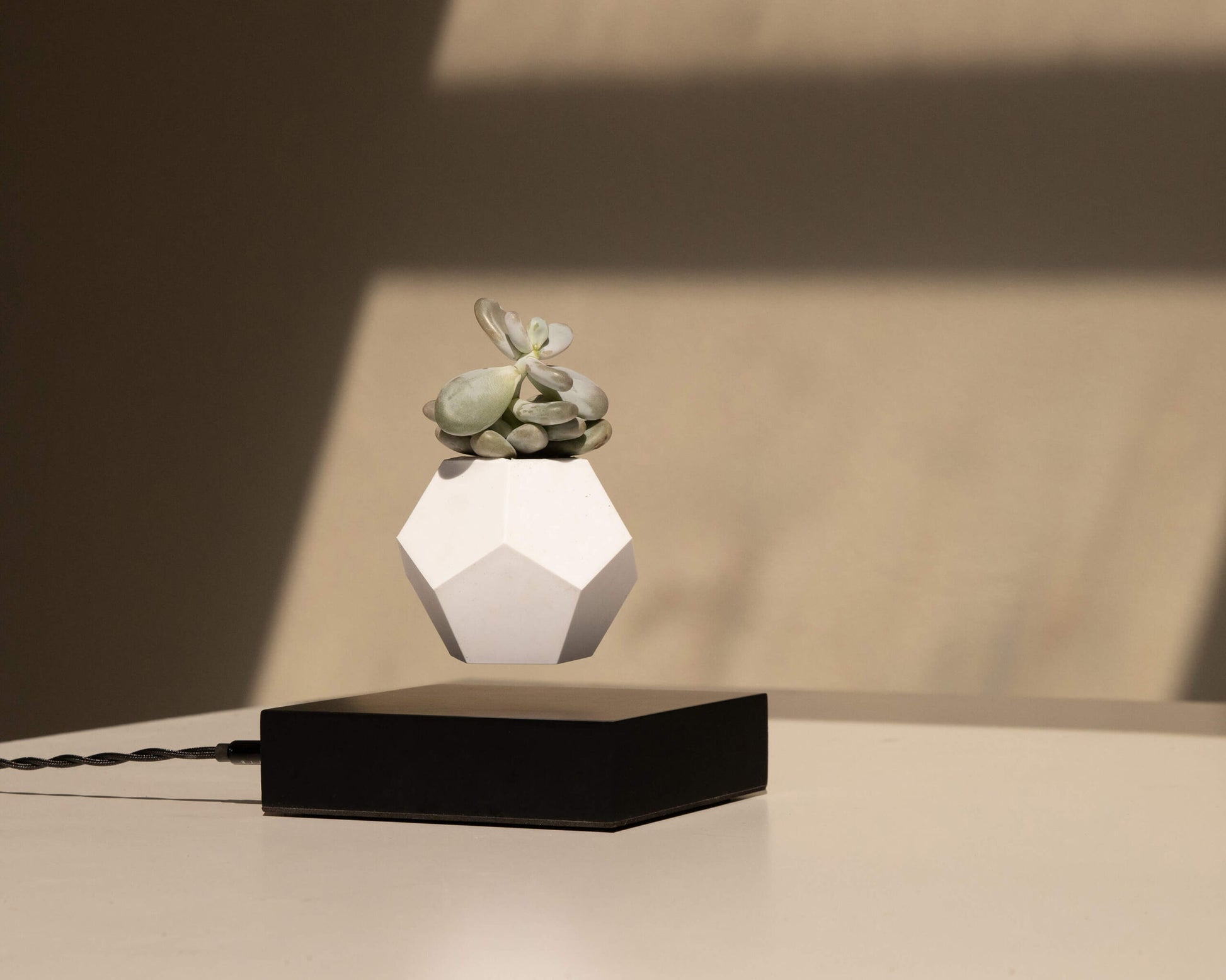 lyfe flyte levitating plant black base 2 scaled 1.jpg