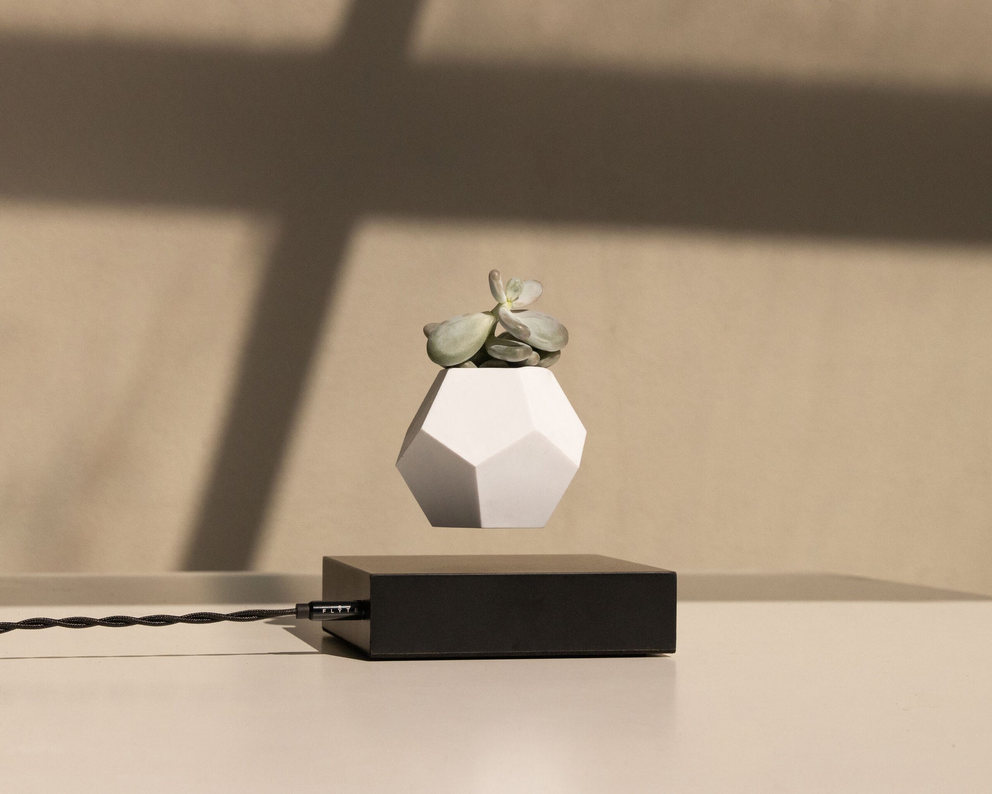 lyfe flyte levitating plant black base 4 scaled 1.jpg