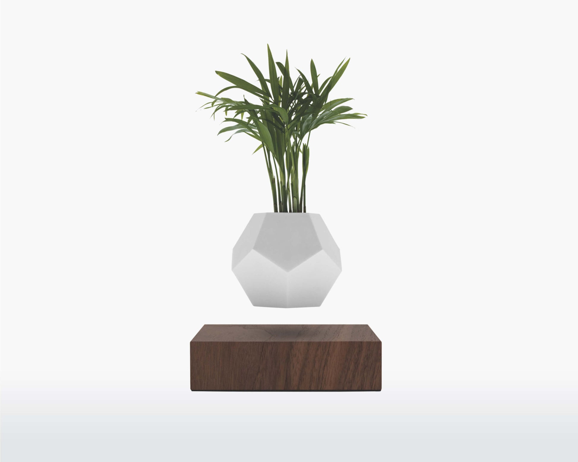 lyfe flyte levitating plant walnut base scaled 1.jpg