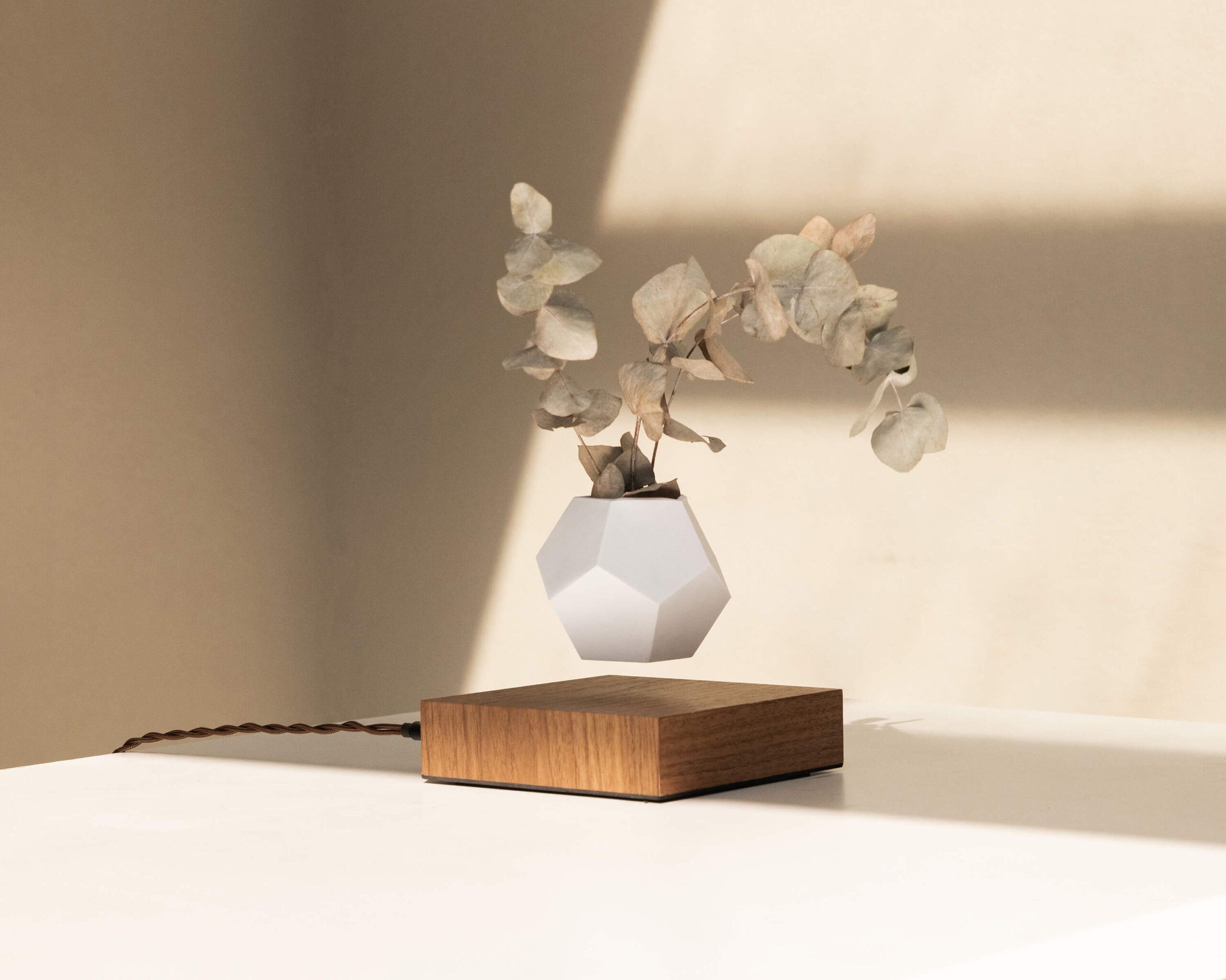 lyfe flyte levitating plant walnut base 1 scaled 1.jpg