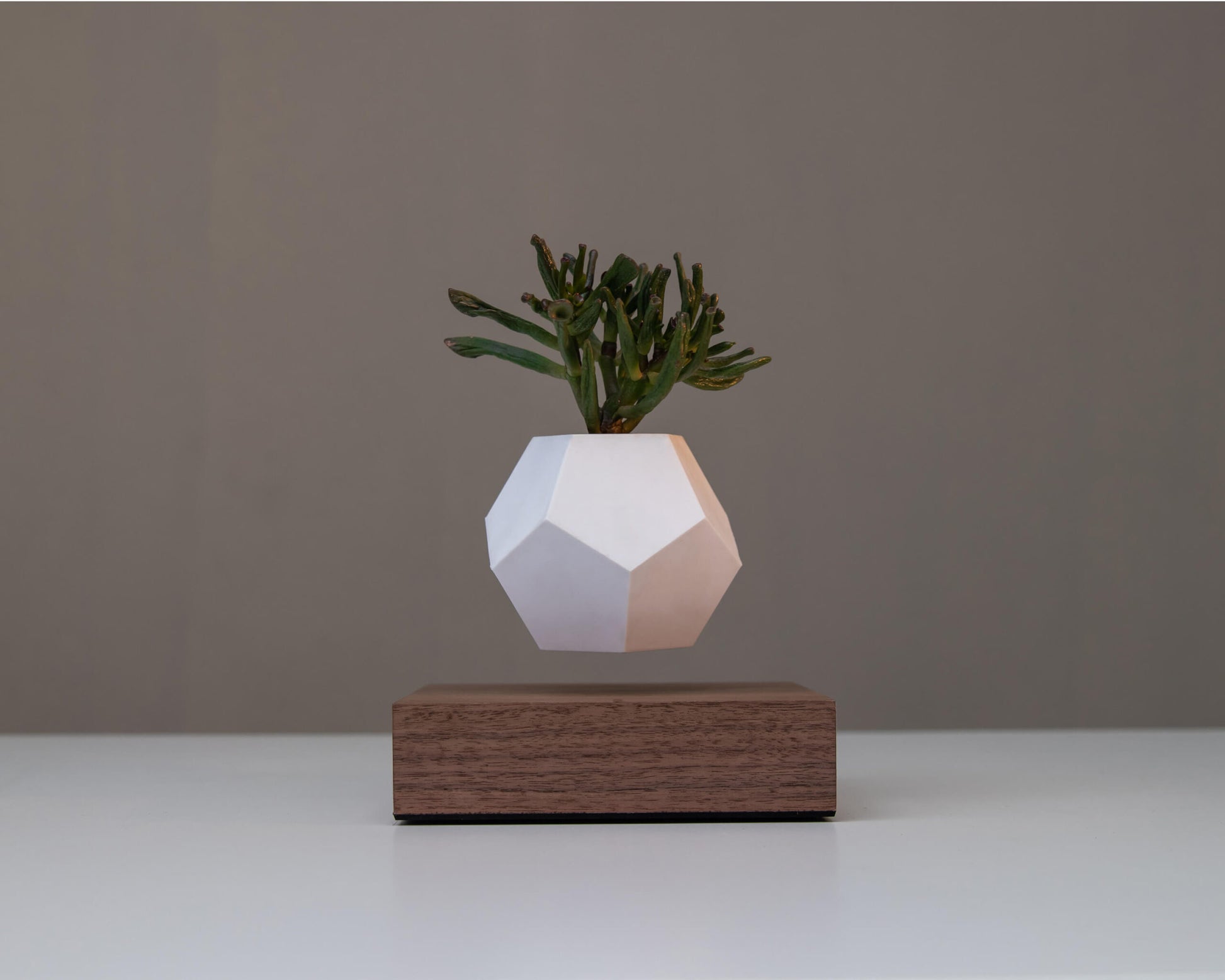 lyfe flyte levitating plant walnut base 2 scaled 1.jpg
