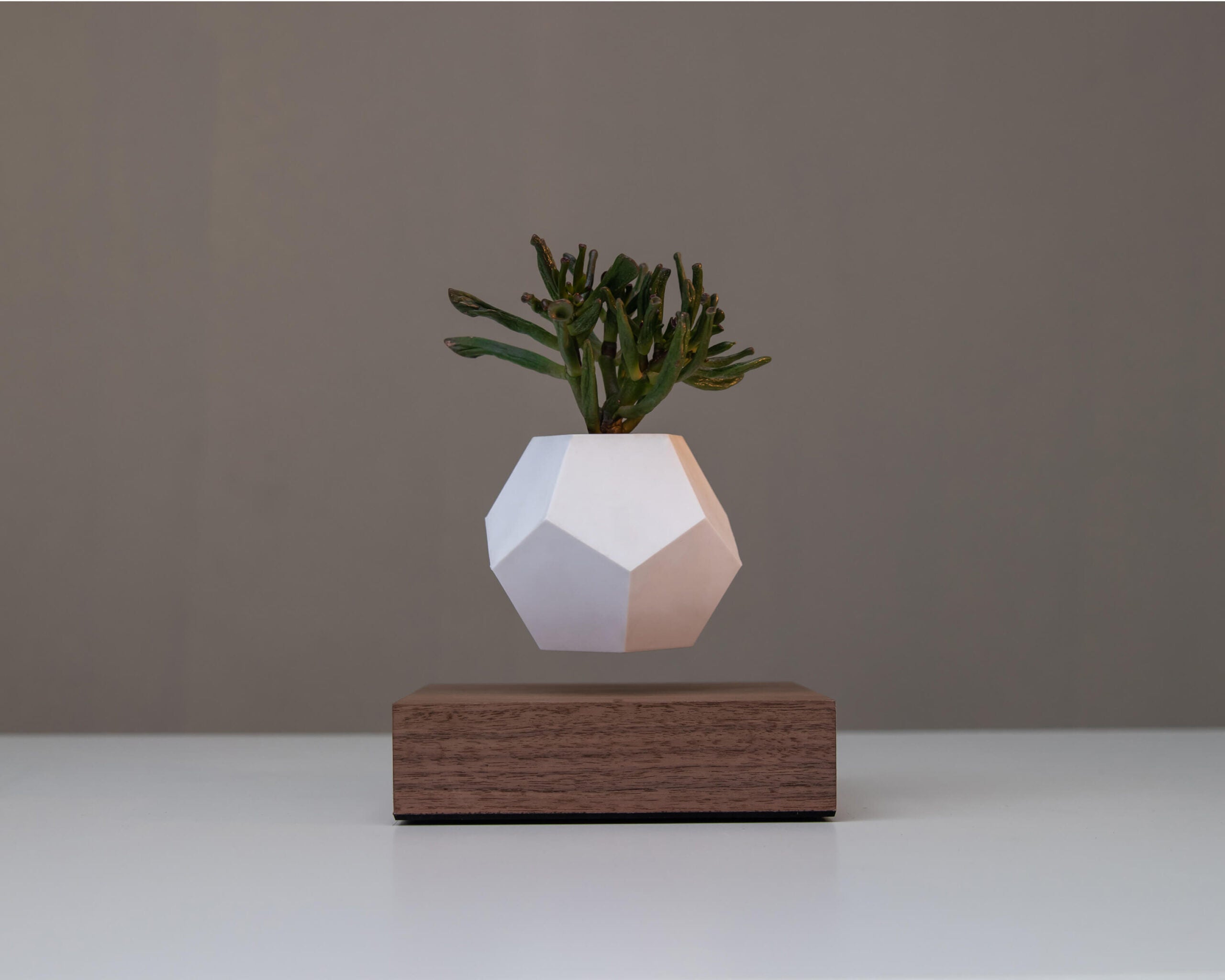 lyfe flyte levitating plant walnut base 2 scaled 1.jpg