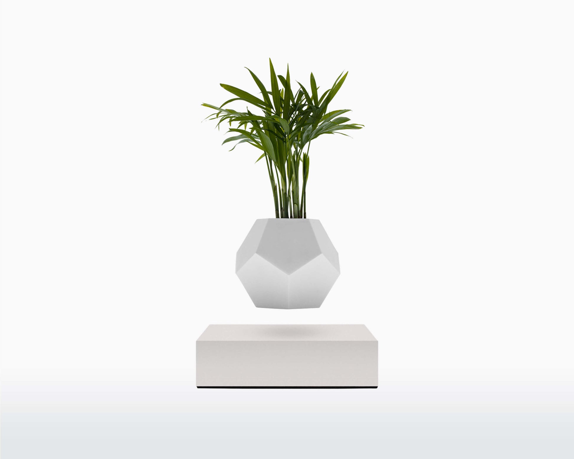 lyfe flyte levitating plant white base scaled 1.jpg