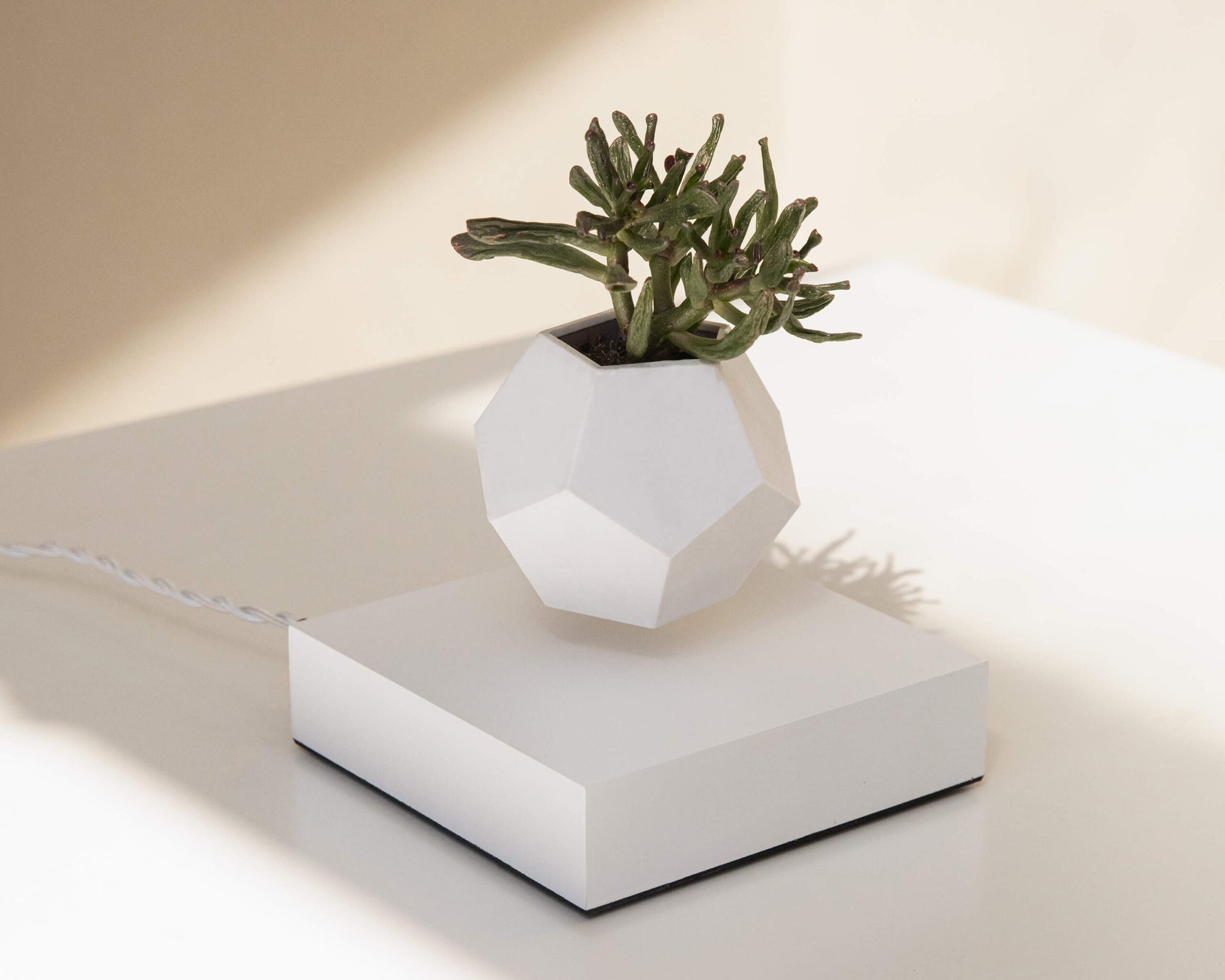 lyfe flyte levitating plant white base 3 scaled 1.jpg