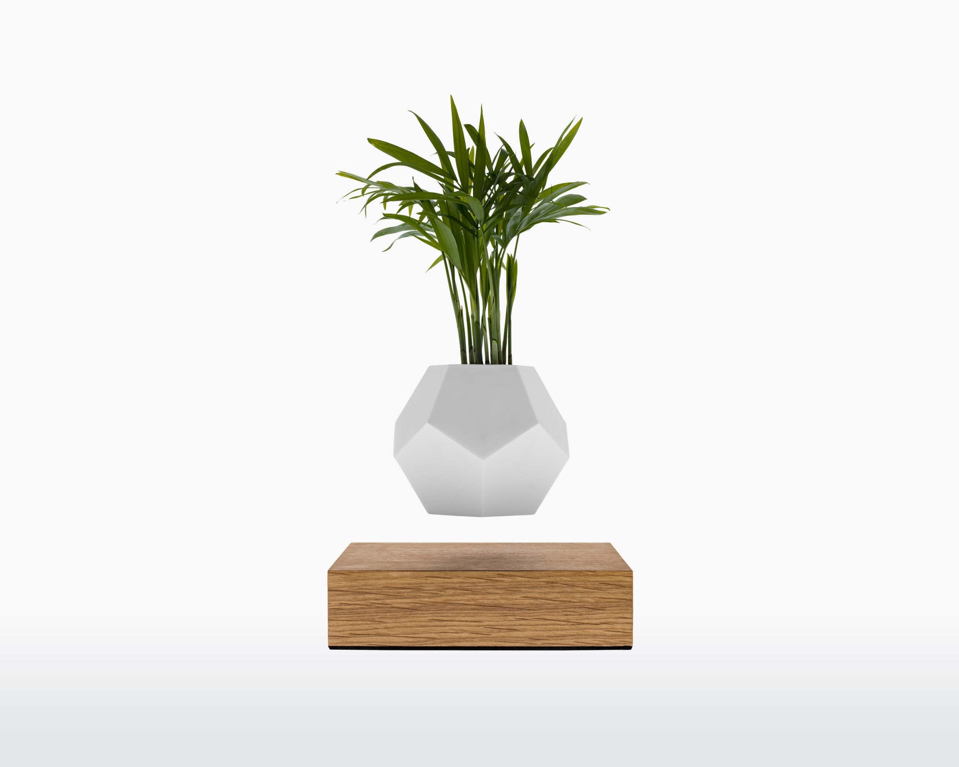 lyfe white 001