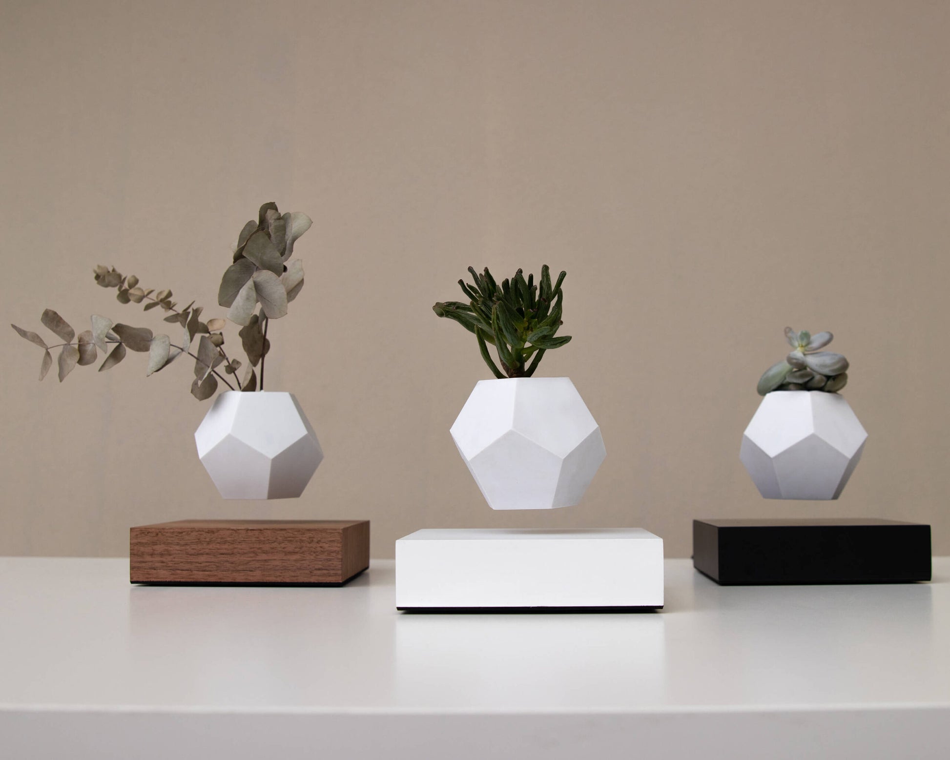 levitating pot plant LYFE Levitating Planter – Wooden Amsterdam