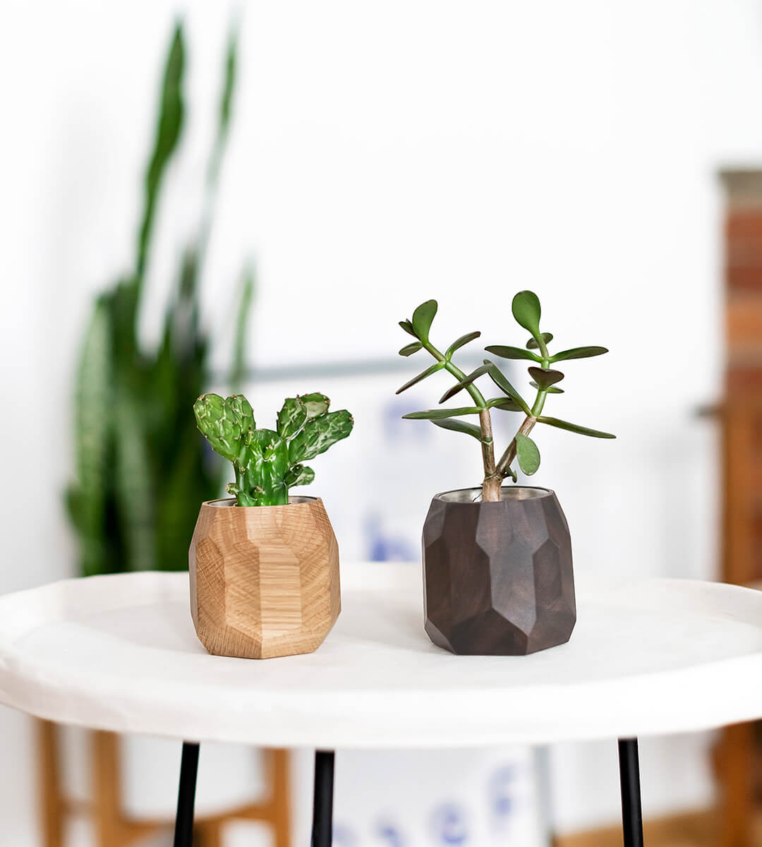 geometric planter walnut mood pics 2