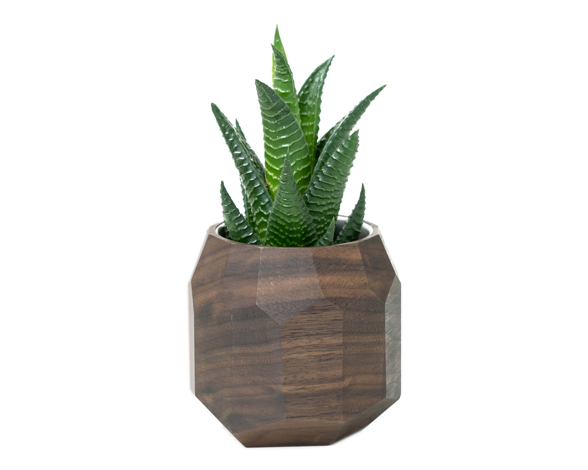 geometric planter walnut oakywood 1