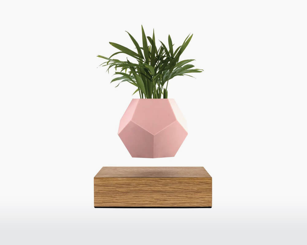 lyfe silicone skin pink flyte on webshop wooden amsterdam