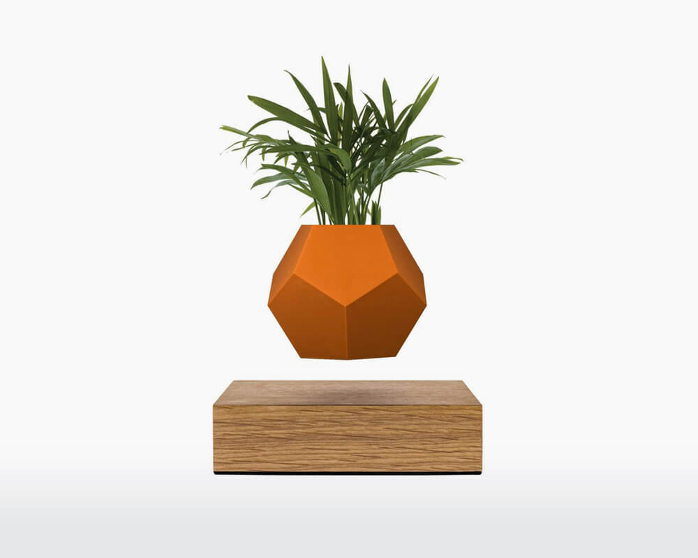 lyfe silicone skin terra cotta flyte on webshop wooden amsterdam