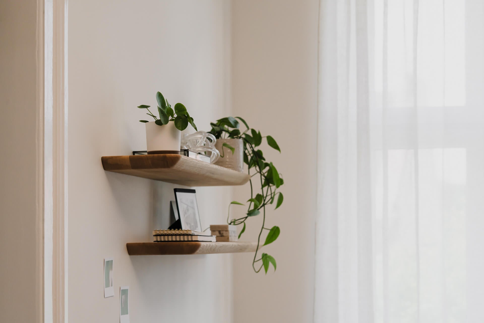 oak wooden wall shelves from oakywood