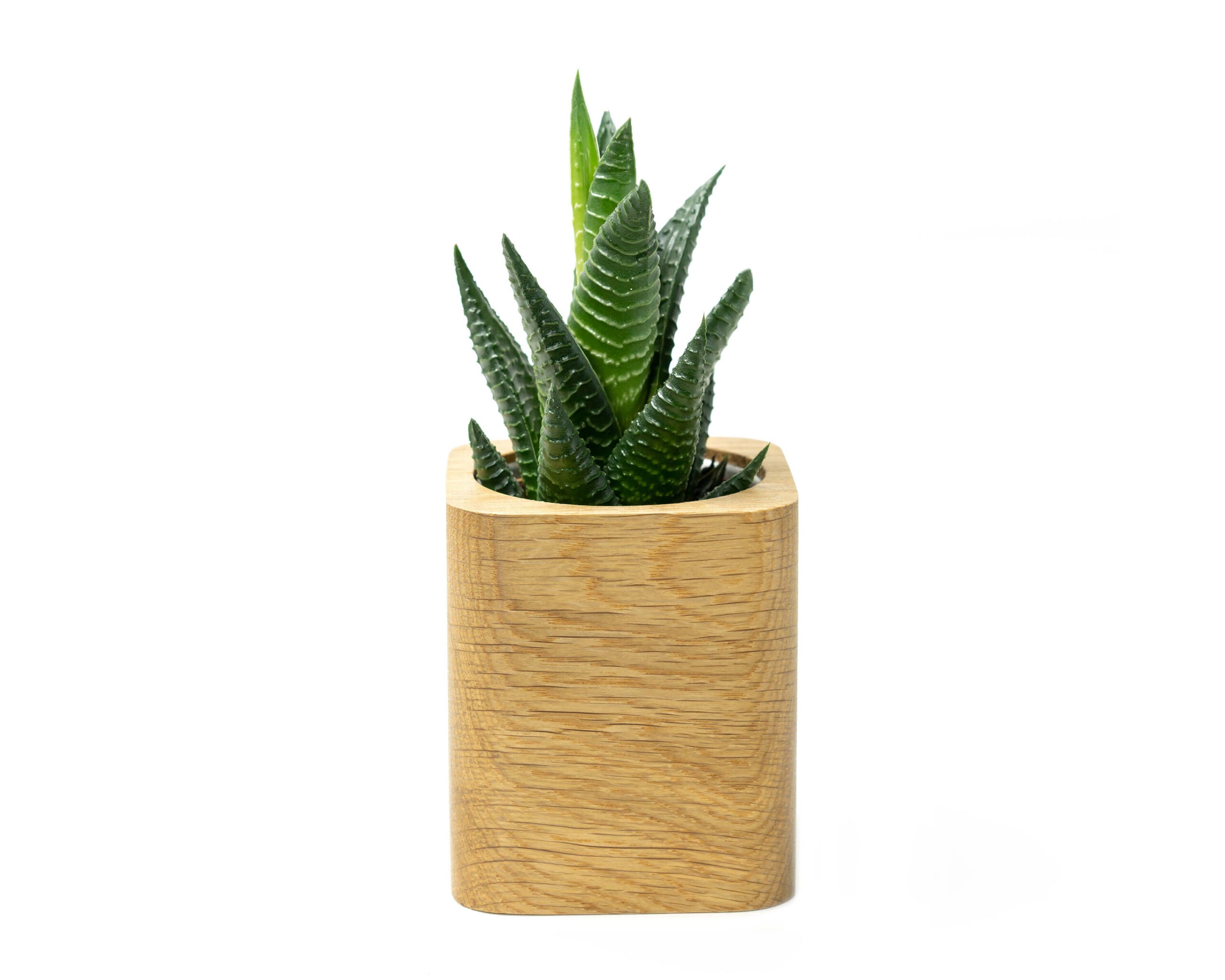 square planter oak oakywood studio image with plant