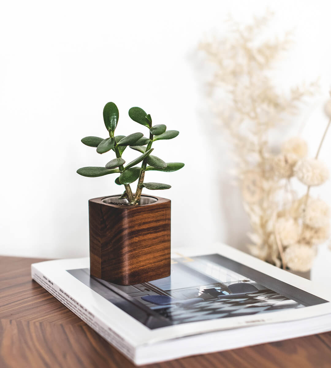 square planter walnut oakywood 06