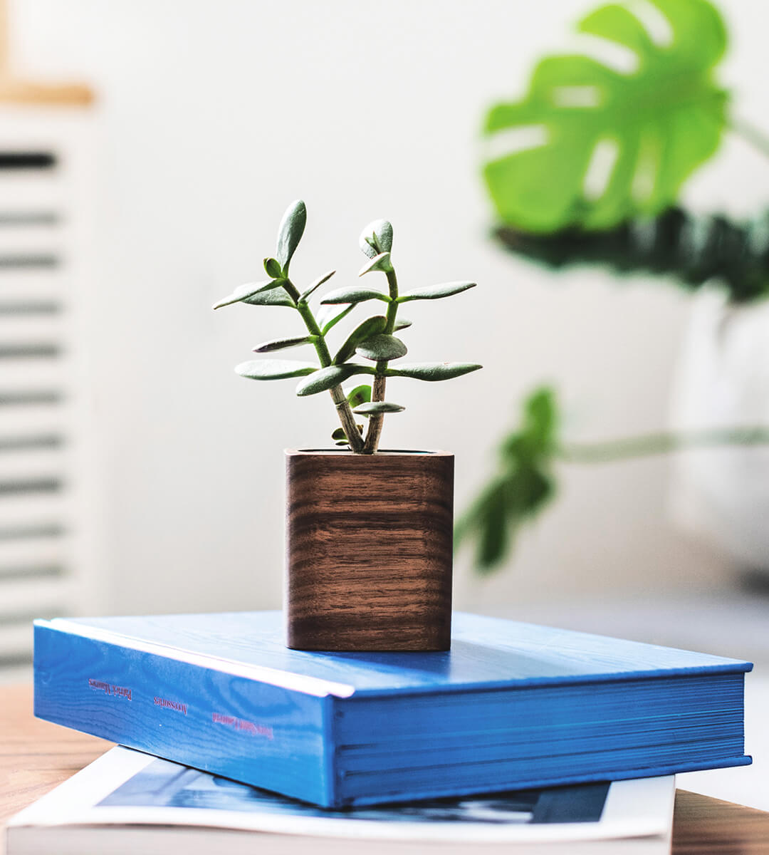 square planter walnut oakywood 07