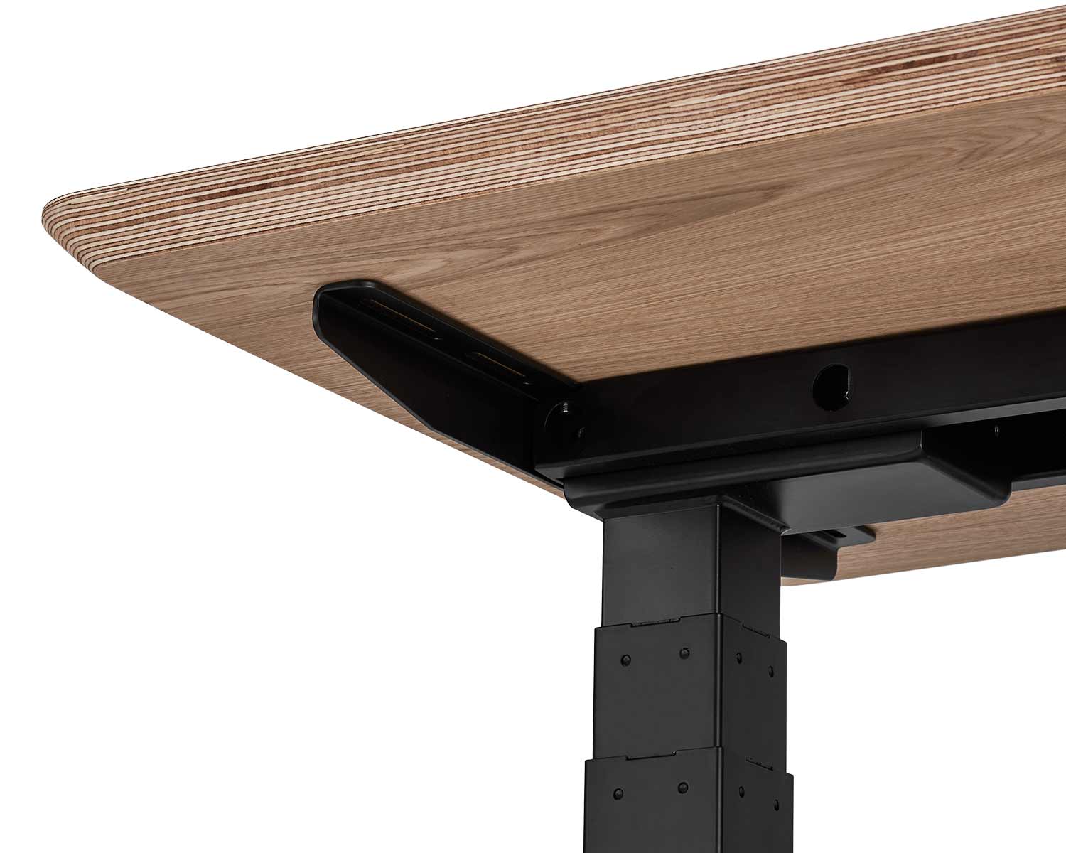 standing desk oakywood oak veneer 003