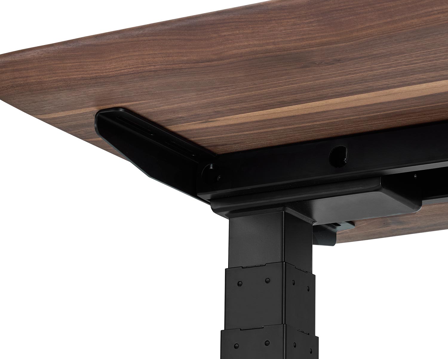 standing desk oakywood walnut veneer 004