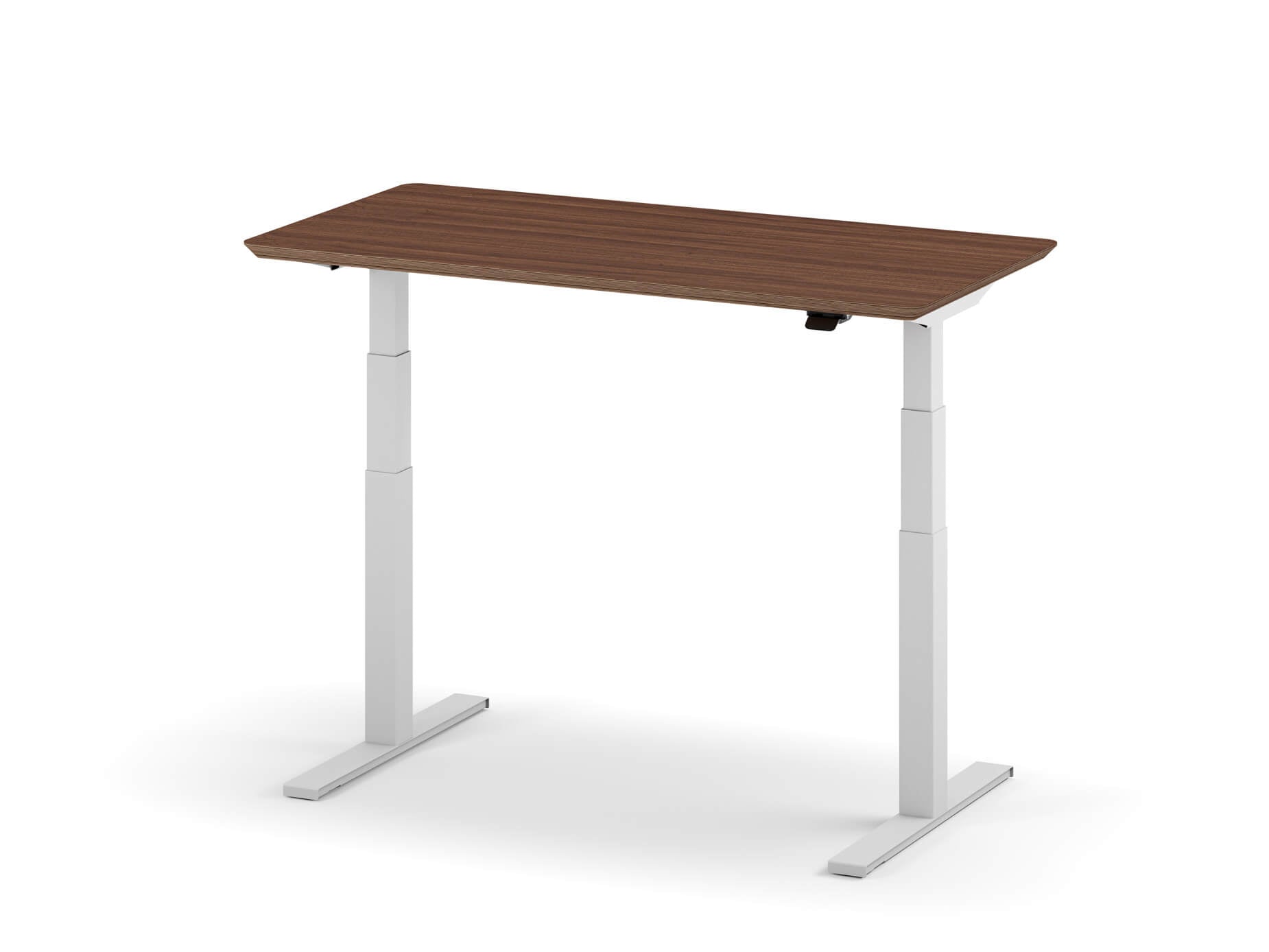 standing desk pro walnut veneer white legs