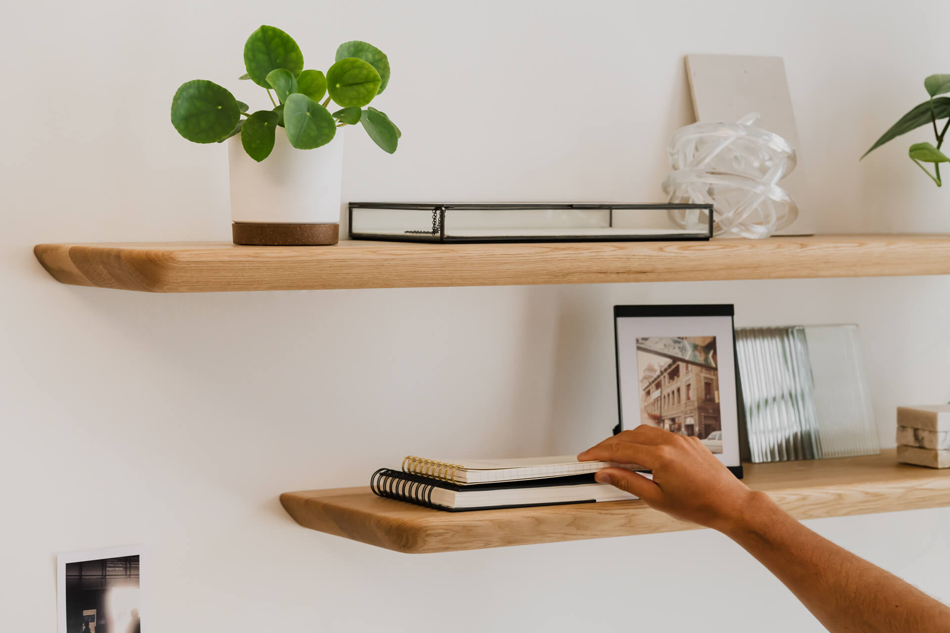 wall shelves made by oakywood oak