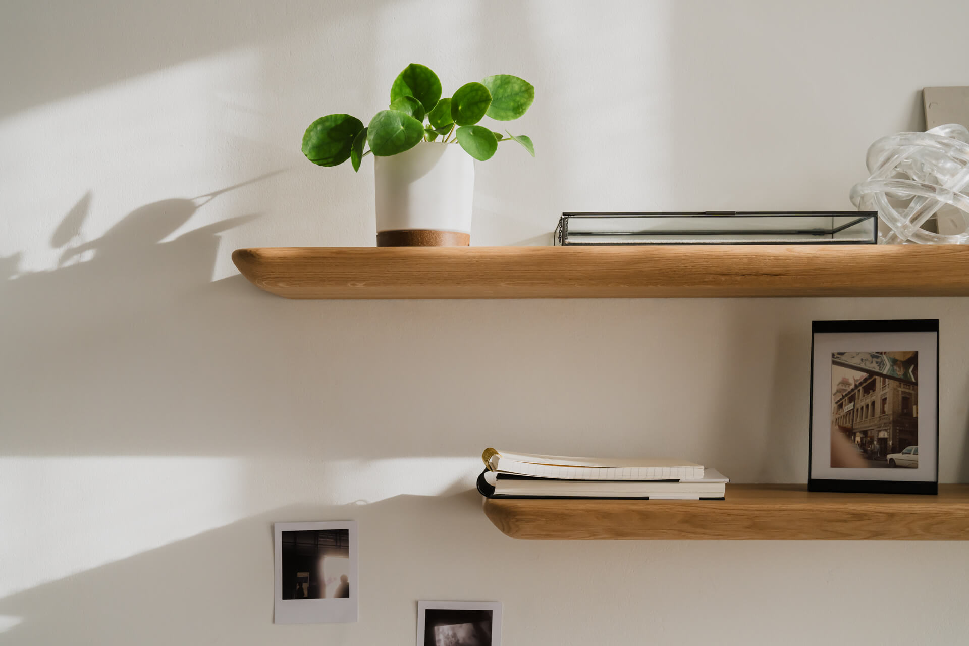 wall shelves made of oak wood by oakywood