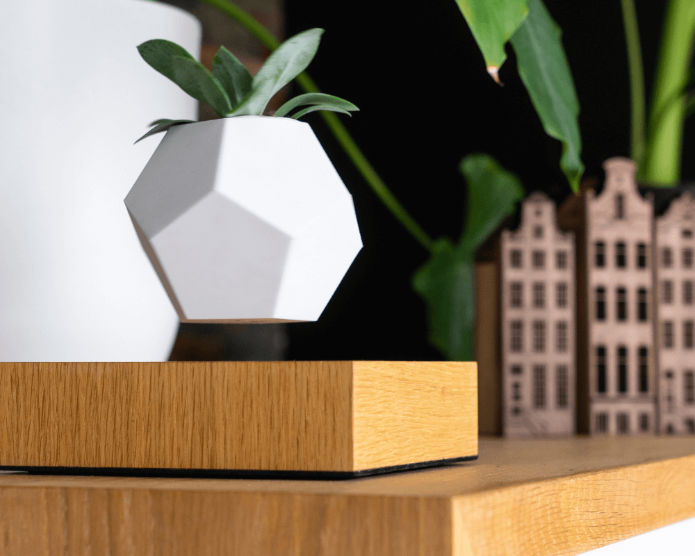 wooden amsterdam shoot jellina detmar lyfe planter oak and canal houses set of 4 medium close up (2)