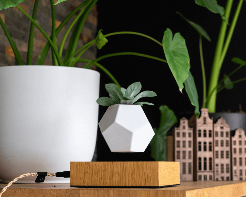 wooden amsterdam shoot jellina detmar lyfe planter oak and canal houses set of 4 medium close up