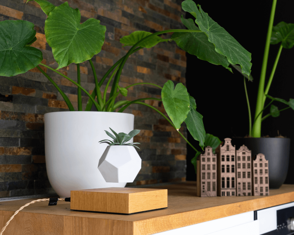 wooden amsterdam shoot jellina detmar lyfe planter oak and canal houses set of 4 medium