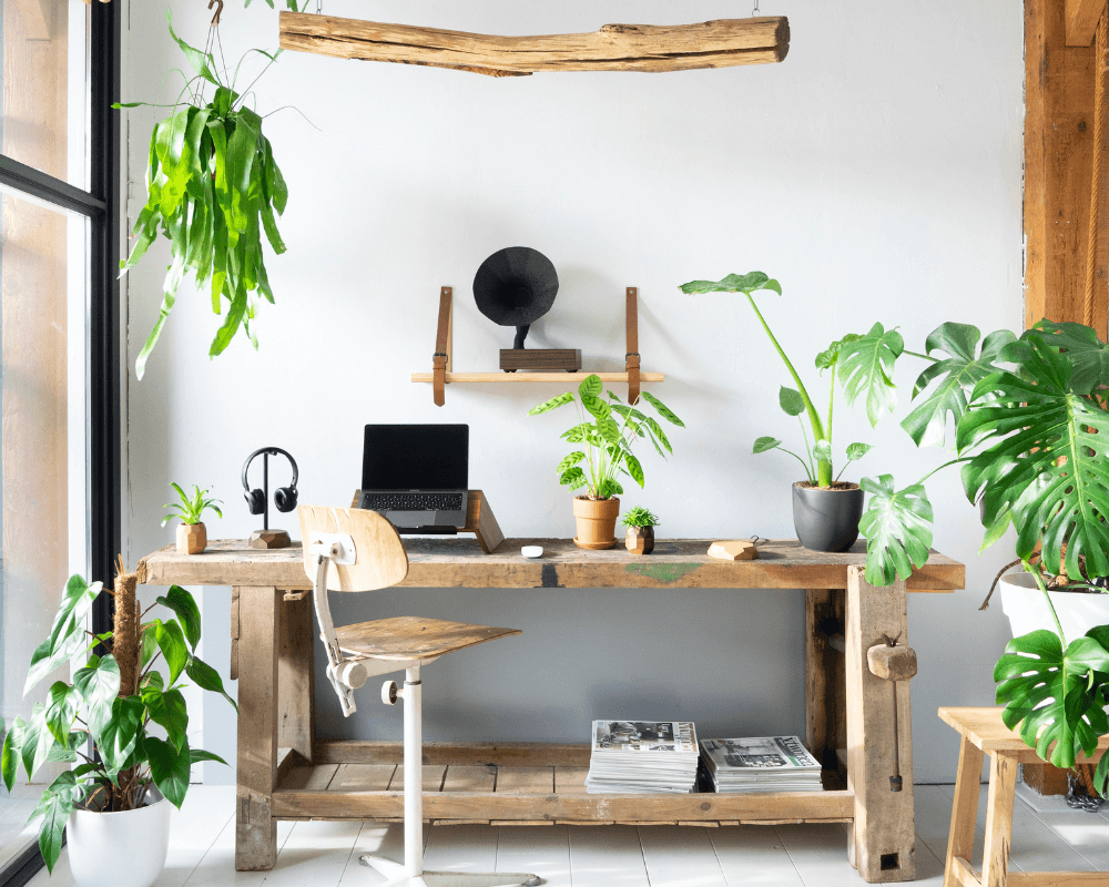 wooden amsterdam shoot jellina detmar oakywood acoustibox
